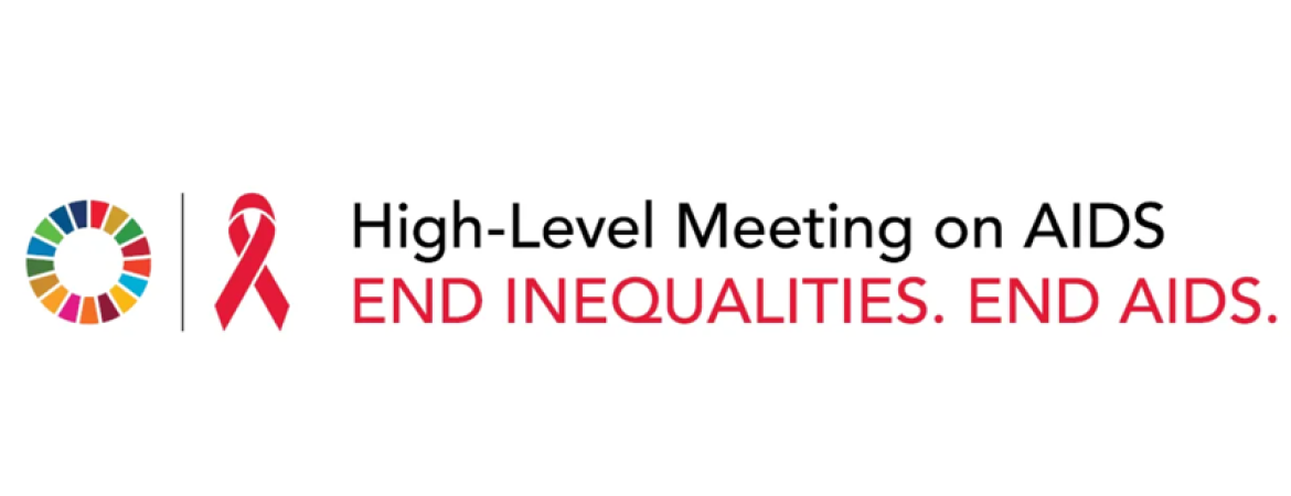 UN-high-level-meetingpng