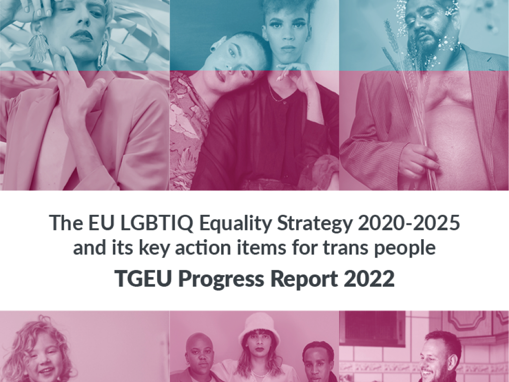tgeu-equality-strategy-progress-report-2022-cover.png